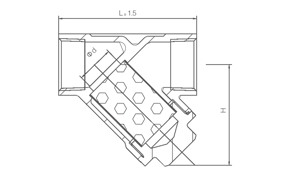 Y Strainer Material Configuration WCB CF8 CF8M
